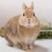 ヒメ日記 2025/09/06 23:01 投稿 倉田 ミオン 熟女・人妻マダム宮殿