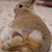 ヒメ日記 2025/09/20 19:02 投稿 倉田 ミオン 熟女・人妻マダム宮殿