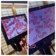 ヒメ日記 2025/09/29 11:03 投稿 倉田 ミオン 熟女・人妻マダム宮殿