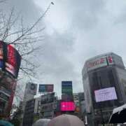 ヒメ日記 2025/10/01 13:45 投稿 倉田 ミオン 熟女・人妻マダム宮殿