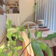 ヒメ日記 2025/10/05 13:28 投稿 倉田 ミオン 熟女・人妻マダム宮殿