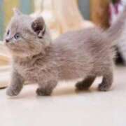 ヒメ日記 2025/10/21 23:15 投稿 倉田 ミオン 熟女・人妻マダム宮殿