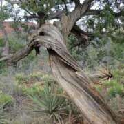 ヒメ日記 2025/10/25 21:45 投稿 倉田 ミオン 熟女・人妻マダム宮殿