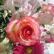 ヒメ日記 2025/10/26 14:45 投稿 倉田 ミオン 熟女・人妻マダム宮殿