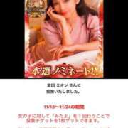 ヒメ日記 2025/11/18 14:22 投稿 倉田 ミオン 熟女・人妻マダム宮殿