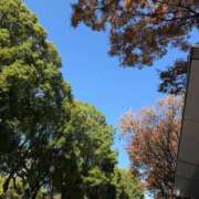 ヒメ日記 2025/11/19 11:00 投稿 倉田 ミオン 熟女・人妻マダム宮殿