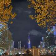 ヒメ日記 2025/11/20 20:36 投稿 倉田 ミオン 熟女・人妻マダム宮殿