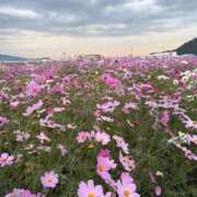 ヒメ日記 2025/11/24 07:34 投稿 倉田 ミオン 熟女・人妻マダム宮殿