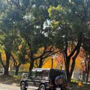 ヒメ日記 2025/11/27 11:20 投稿 倉田 ミオン 熟女・人妻マダム宮殿