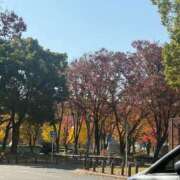 ヒメ日記 2025/11/27 17:23 投稿 倉田 ミオン 熟女・人妻マダム宮殿