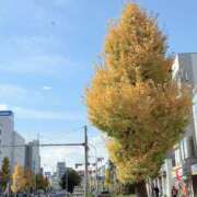 ヒメ日記 2025/11/29 11:56 投稿 倉田 ミオン 熟女・人妻マダム宮殿