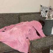 ヒメ日記 2025/11/30 11:49 投稿 倉田 ミオン 熟女・人妻マダム宮殿