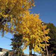 ヒメ日記 2025/11/30 16:35 投稿 倉田 ミオン 熟女・人妻マダム宮殿