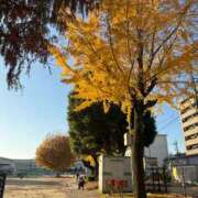 ヒメ日記 2025/12/01 09:23 投稿 倉田 ミオン 熟女・人妻マダム宮殿