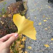 ヒメ日記 2025/12/09 13:57 投稿 倉田 ミオン 熟女・人妻マダム宮殿