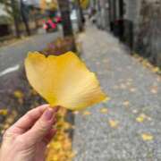 ヒメ日記 2025/12/12 15:44 投稿 倉田 ミオン 熟女・人妻マダム宮殿