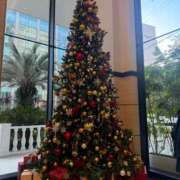 ヒメ日記 2025/12/18 17:26 投稿 倉田 ミオン 熟女・人妻マダム宮殿