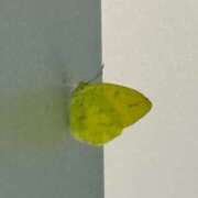 ヒメ日記 2025/12/28 15:02 投稿 倉田 ミオン 熟女・人妻マダム宮殿