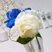 ヒメ日記 2026/01/08 09:44 投稿 倉田 ミオン 熟女・人妻マダム宮殿