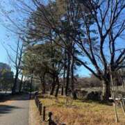 ヒメ日記 2026/01/09 15:01 投稿 倉田 ミオン 熟女・人妻マダム宮殿