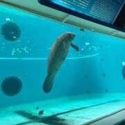 ヒメ日記 2026/01/10 16:37 投稿 倉田 ミオン 熟女・人妻マダム宮殿