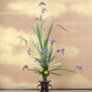 ヒメ日記 2026/01/25 17:04 投稿 倉田 ミオン 熟女・人妻マダム宮殿