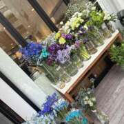 ヒメ日記 2026/02/01 10:35 投稿 倉田 ミオン 熟女・人妻マダム宮殿