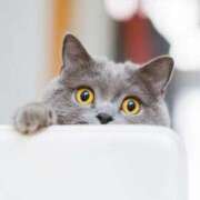 ヒメ日記 2026/02/02 18:15 投稿 倉田 ミオン 熟女・人妻マダム宮殿