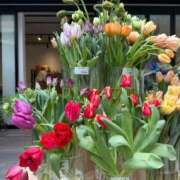 ヒメ日記 2026/02/07 07:01 投稿 倉田 ミオン 熟女・人妻マダム宮殿