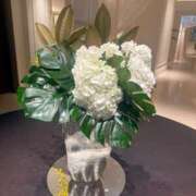 ヒメ日記 2026/02/09 09:38 投稿 倉田 ミオン 熟女・人妻マダム宮殿