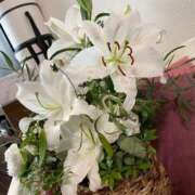 ヒメ日記 2026/02/11 23:49 投稿 倉田 ミオン 熟女・人妻マダム宮殿