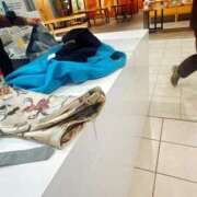 ヒメ日記 2026/02/13 15:38 投稿 倉田 ミオン 熟女・人妻マダム宮殿