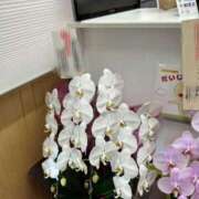 ヒメ日記 2026/02/13 18:01 投稿 倉田 ミオン 熟女・人妻マダム宮殿