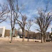 ヒメ日記 2026/02/15 08:01 投稿 倉田 ミオン 熟女・人妻マダム宮殿