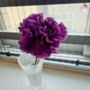 ヒメ日記 2026/02/16 11:59 投稿 倉田 ミオン 熟女・人妻マダム宮殿