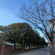 ヒメ日記 2026/02/26 16:15 投稿 倉田 ミオン 熟女・人妻マダム宮殿