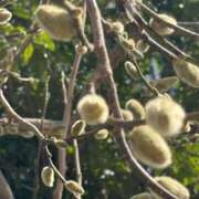 ヒメ日記 2026/03/05 23:19 投稿 倉田 ミオン 熟女・人妻マダム宮殿