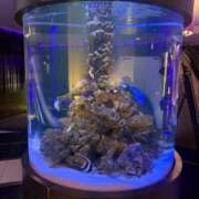 ヒメ日記 2026/03/06 19:19 投稿 倉田 ミオン 熟女・人妻マダム宮殿