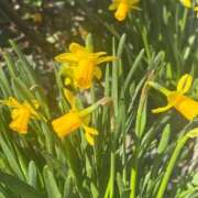 ヒメ日記 2026/03/10 23:56 投稿 倉田 ミオン 熟女・人妻マダム宮殿