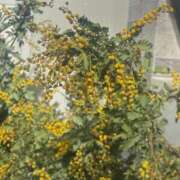 ヒメ日記 2026/03/11 15:17 投稿 倉田 ミオン 熟女・人妻マダム宮殿