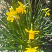 ヒメ日記 2026/03/12 07:02 投稿 倉田 ミオン 熟女・人妻マダム宮殿