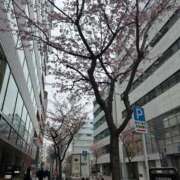 ヒメ日記 2026/03/13 18:56 投稿 倉田 ミオン 熟女・人妻マダム宮殿