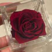 ヒメ日記 2026/03/22 14:15 投稿 倉田 ミオン 熟女・人妻マダム宮殿