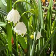 ヒメ日記 2026/03/27 23:35 投稿 倉田 ミオン 熟女・人妻マダム宮殿