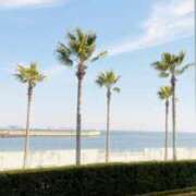 ヒメ日記 2026/03/28 20:52 投稿 倉田 ミオン 熟女・人妻マダム宮殿