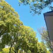 ヒメ日記 2026/04/08 21:41 投稿 倉田 ミオン 熟女・人妻マダム宮殿