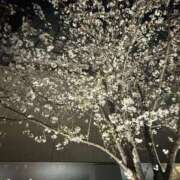 ヒメ日記 2026/04/09 18:45 投稿 倉田 ミオン 熟女・人妻マダム宮殿