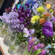 ヒメ日記 2026/04/09 19:30 投稿 倉田 ミオン 熟女・人妻マダム宮殿