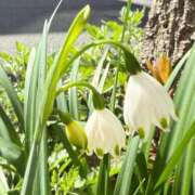 ヒメ日記 2026/04/10 10:31 投稿 倉田 ミオン 熟女・人妻マダム宮殿