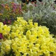 ヒメ日記 2026/04/13 18:27 投稿 倉田 ミオン 熟女・人妻マダム宮殿